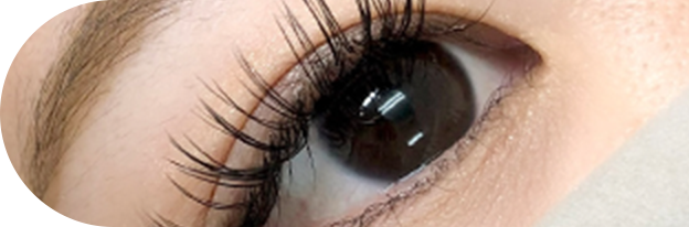 バインドロックのイメージ画像