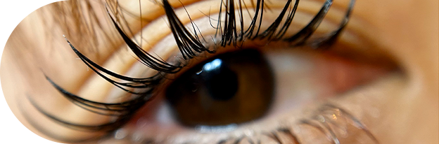 リフエクのイメージ画像