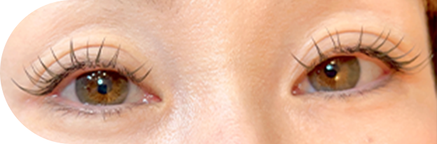 ロイッシュカラーのフラットラッシュのイメージ画像