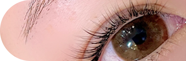 セーブルラッシュのイメージ画像