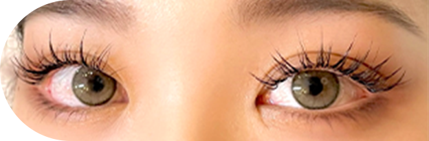 ワンホンデザインのイメージ画像